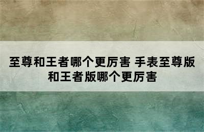 至尊和王者哪个更厉害 手表至尊版和王者版哪个更厉害